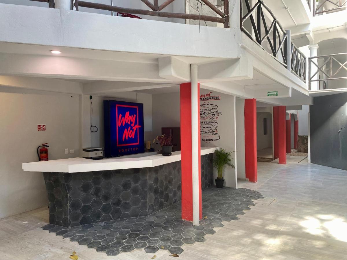 Why Not Rooftop Party Hostel Playa del Carmen Eksteriør billede