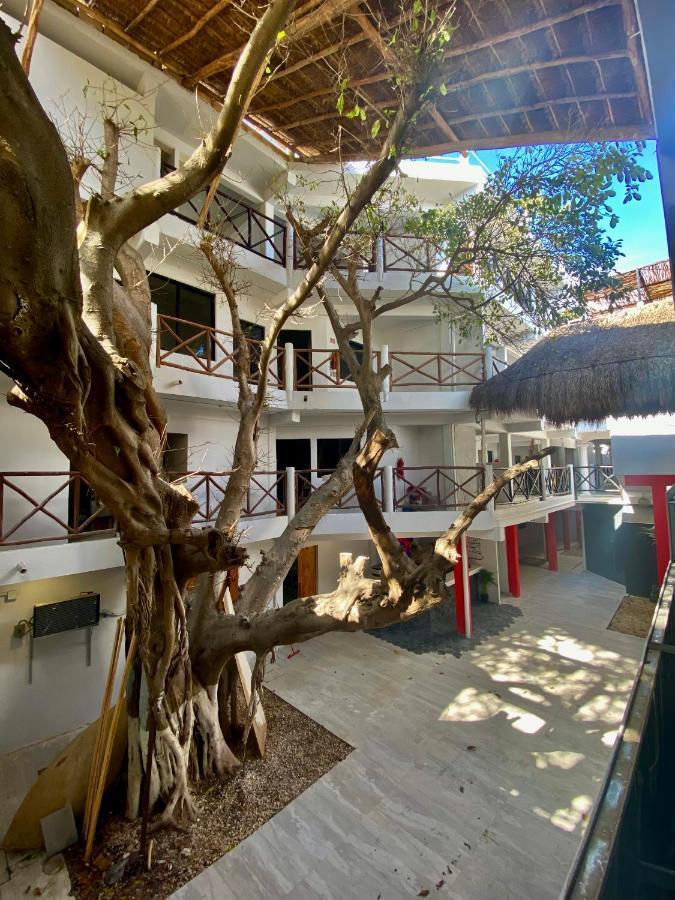 Why Not Rooftop Party Hostel Playa del Carmen Eksteriør billede