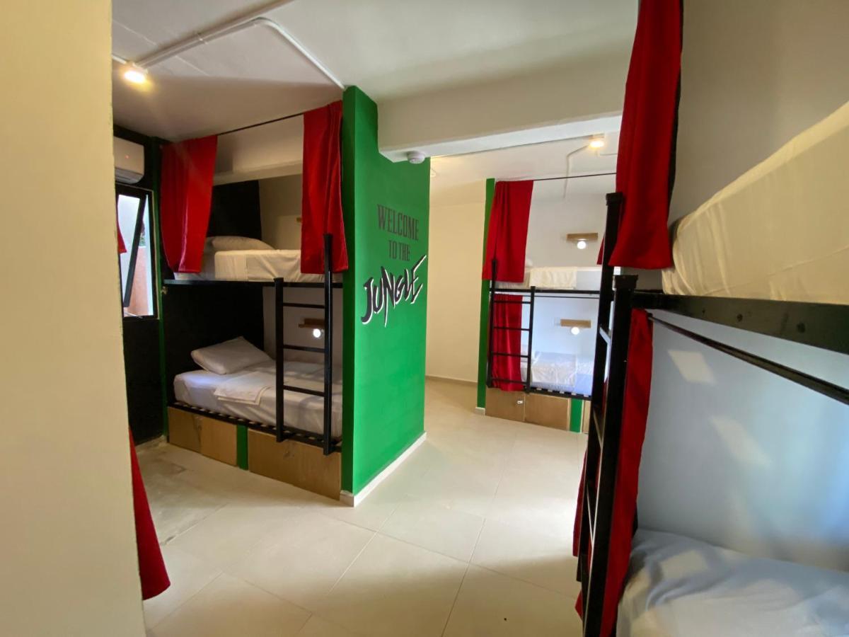 Why Not Rooftop Party Hostel Playa del Carmen Eksteriør billede