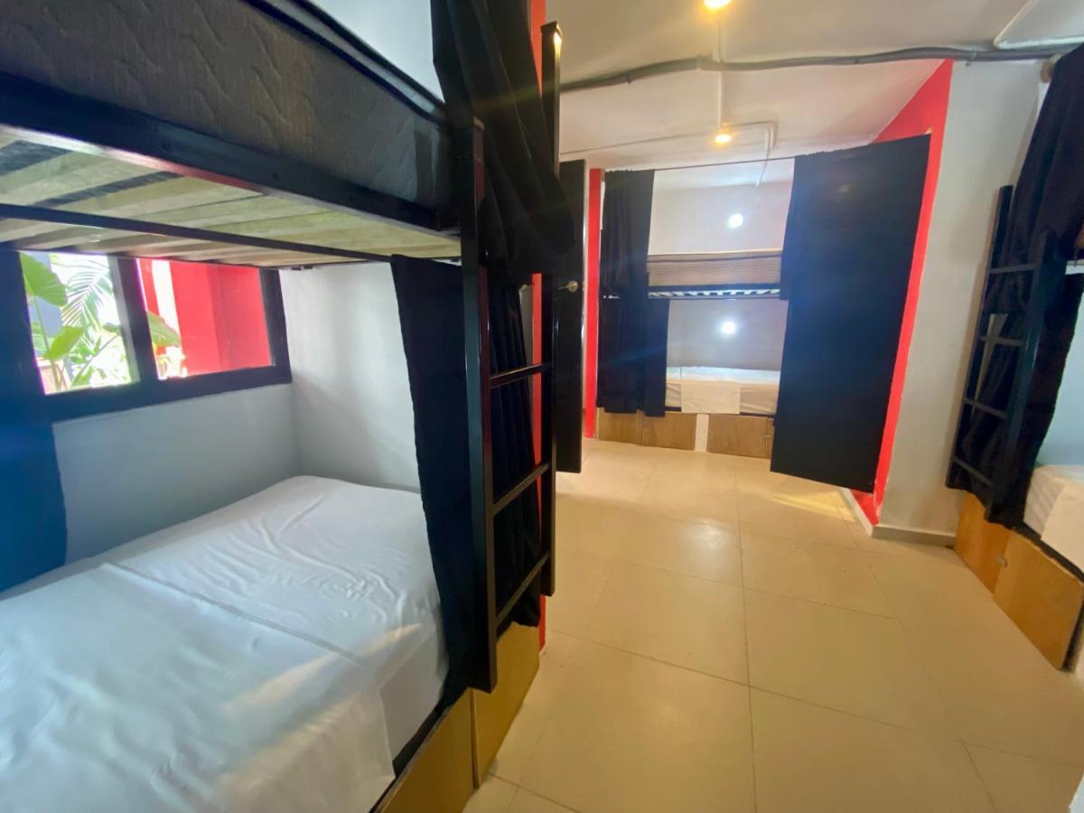 Why Not Rooftop Party Hostel Playa del Carmen Eksteriør billede