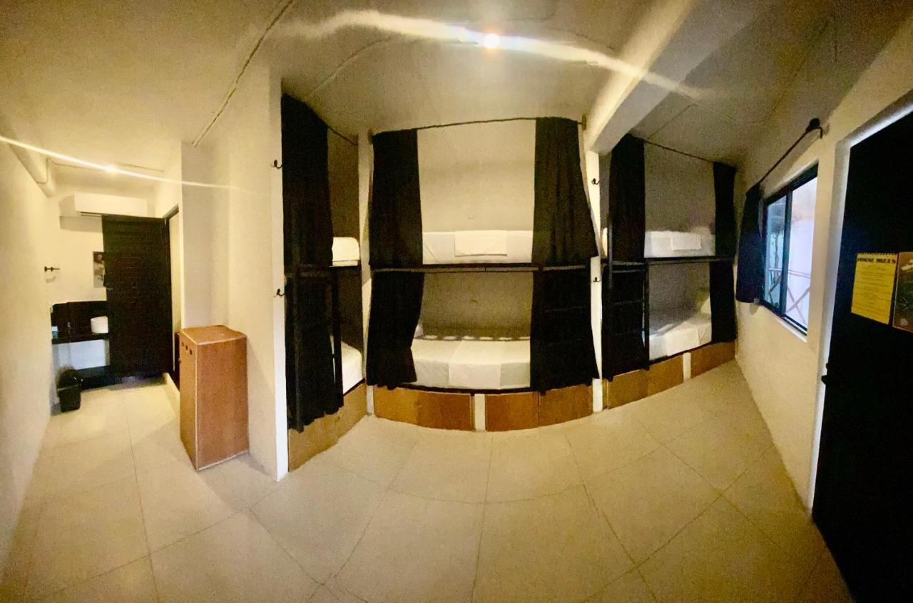 Why Not Rooftop Party Hostel Playa del Carmen Eksteriør billede